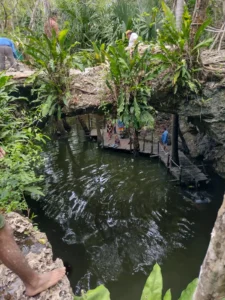 Jade Cavern cenote surrounded by tropical jungle during a Cozumel ATV tour in Mexico