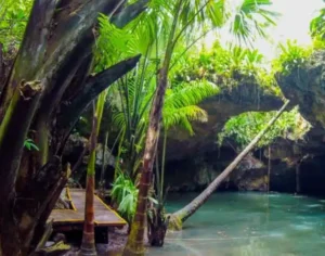 Jade Cavern Mayan cenote surrounded by tropical jungle during a Cozumel ATV tour in Mexico