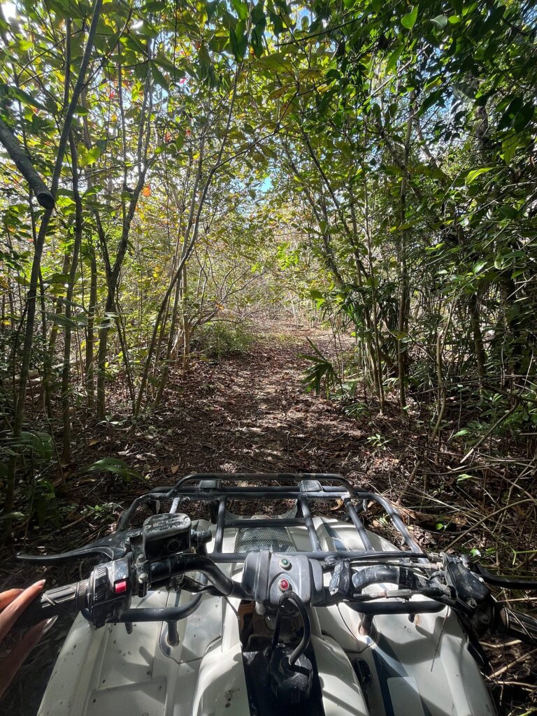 ATV riding through tropical jungle trails during a Cozumel ATV tour in Mexico