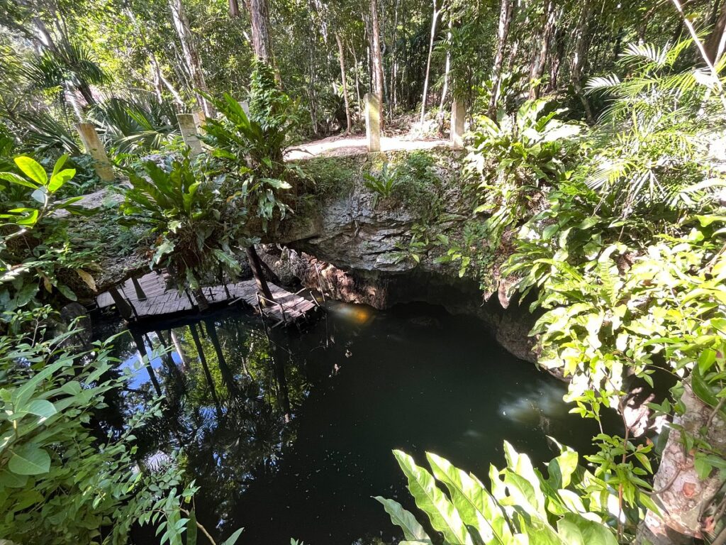Jade Cavern Cozumel Mexico cenote surrounded by jungle during an ATV tour adventure