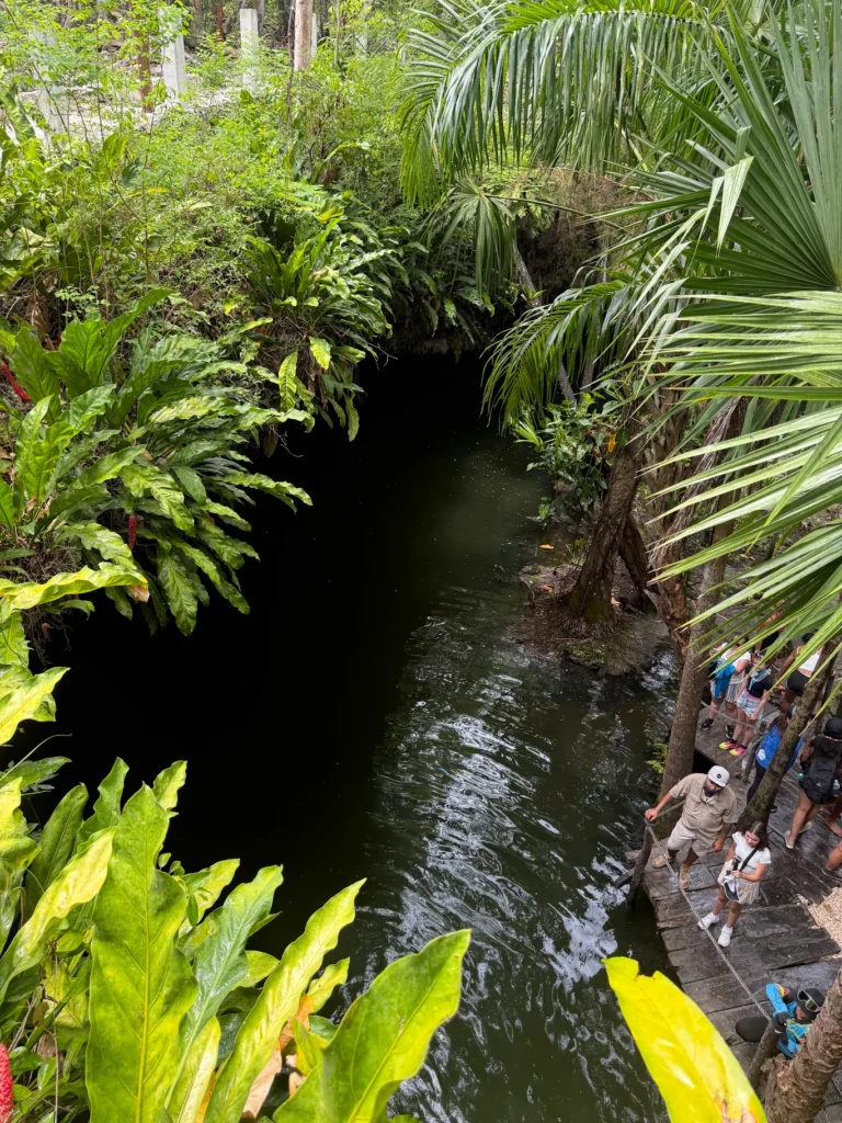 Jade Cavern cenote surrounded by tropical jungle during a Cozumel ATV excursion